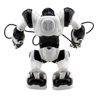【佳奇TT313遥控机器人 罗本艾特智能机器人 可编程声控 玩具机器人】价格,厂家,图片,其他益智玩具,清远市清城区小市健健玩具行-